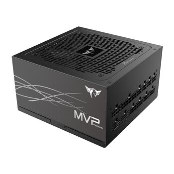 MVP P1000